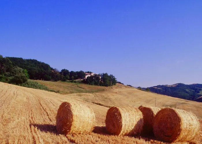 Agriturismo Il Fienile Di Ca Battista