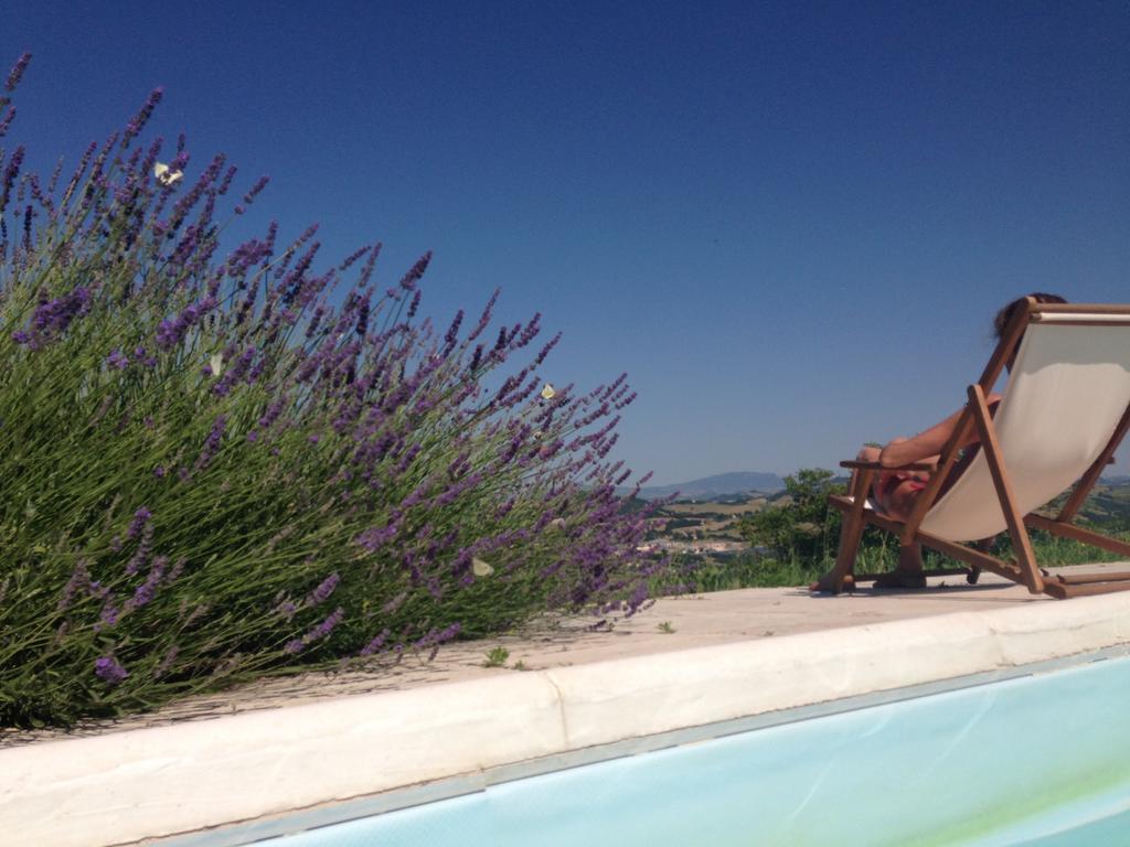 Apartment Agriturismo Il Fienile Di Ca Battista *