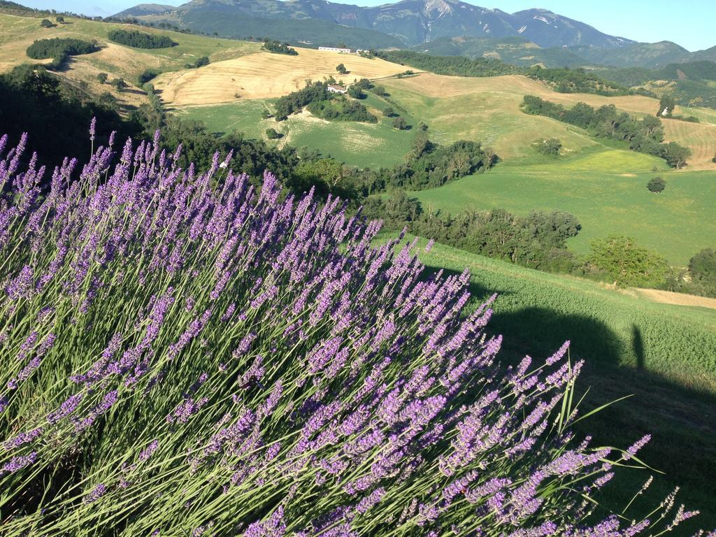Apartment Agriturismo Il Fienile Di Ca Battista Cagli