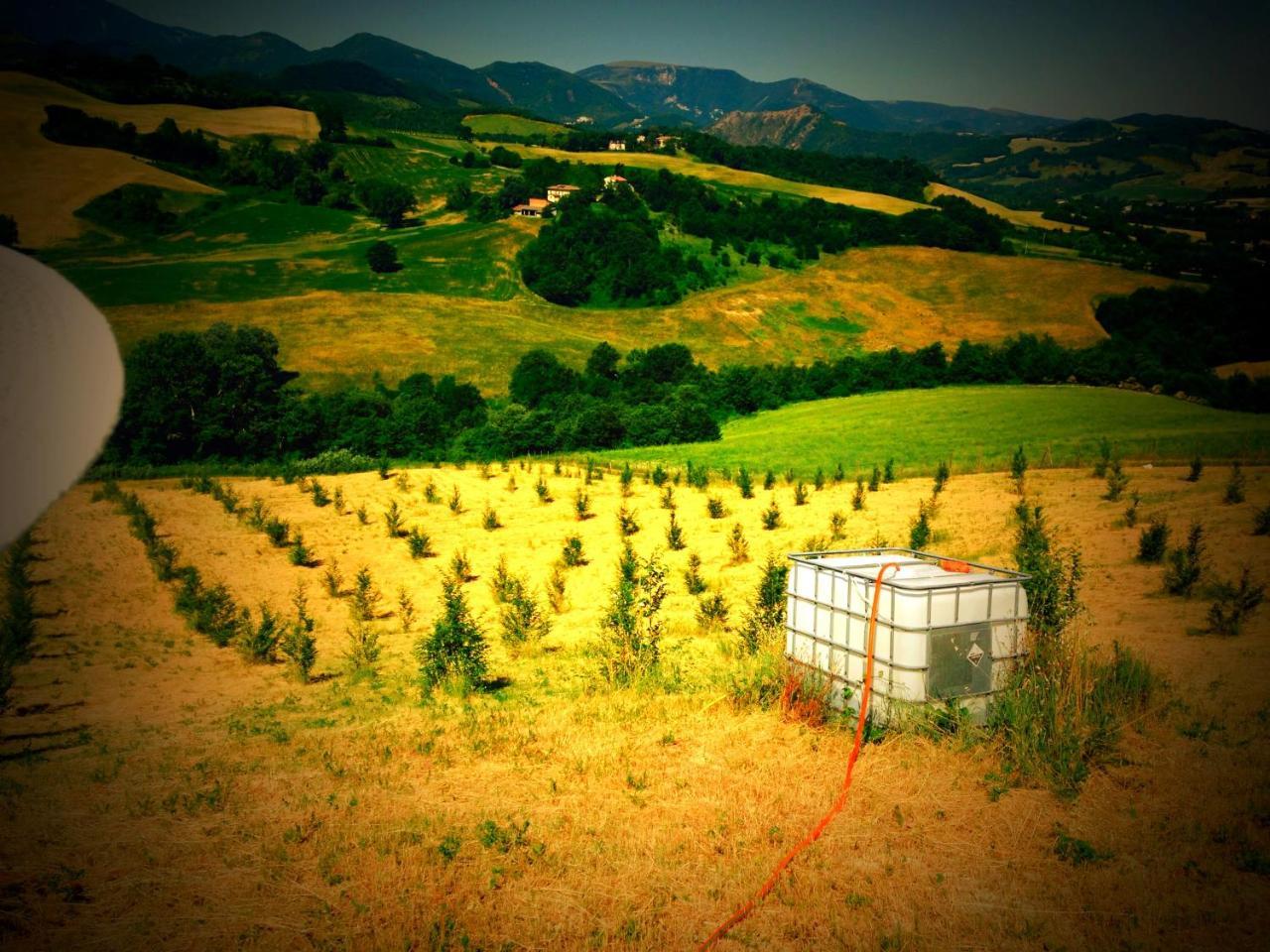 Agriturismo Il Fienile Di Ca Battista *