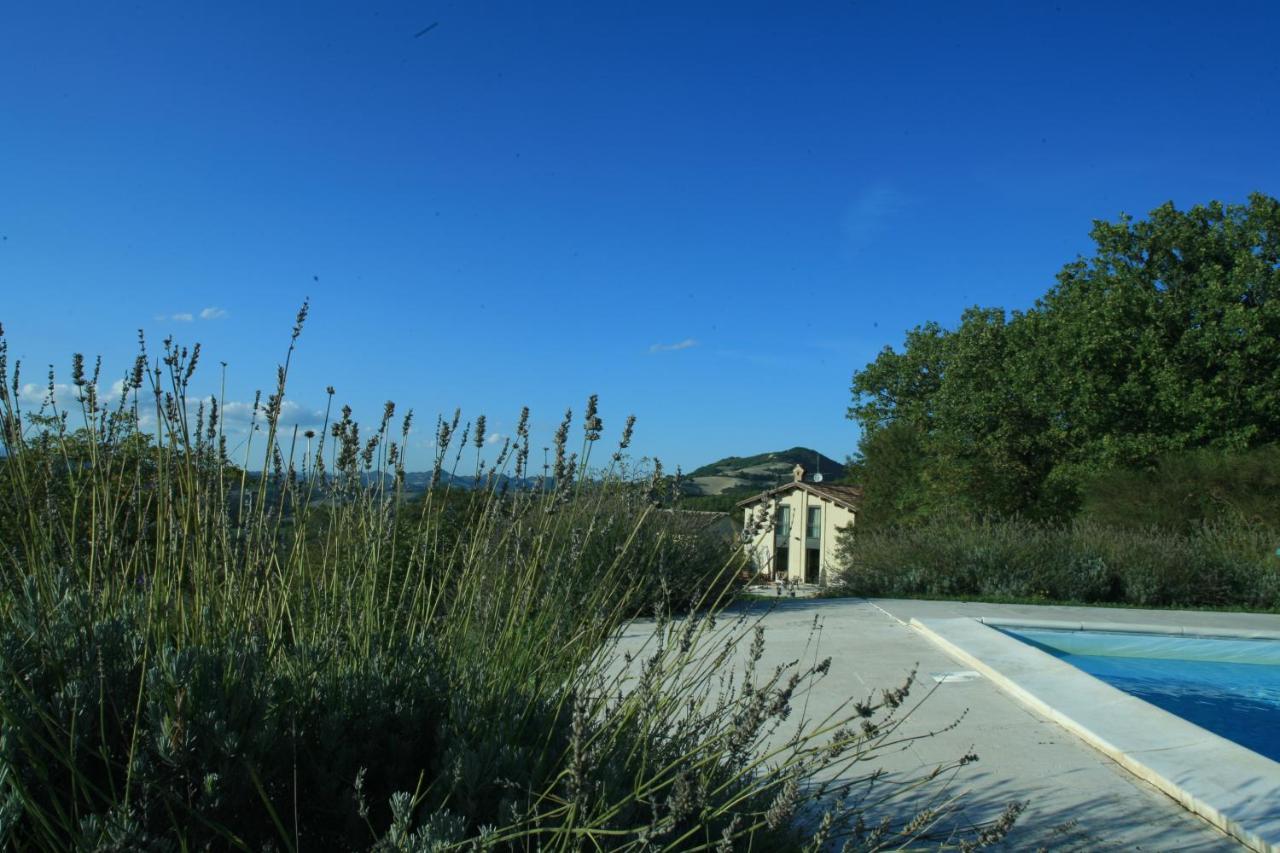 Apartment Agriturismo Il Fienile Di Ca Battista Cagli