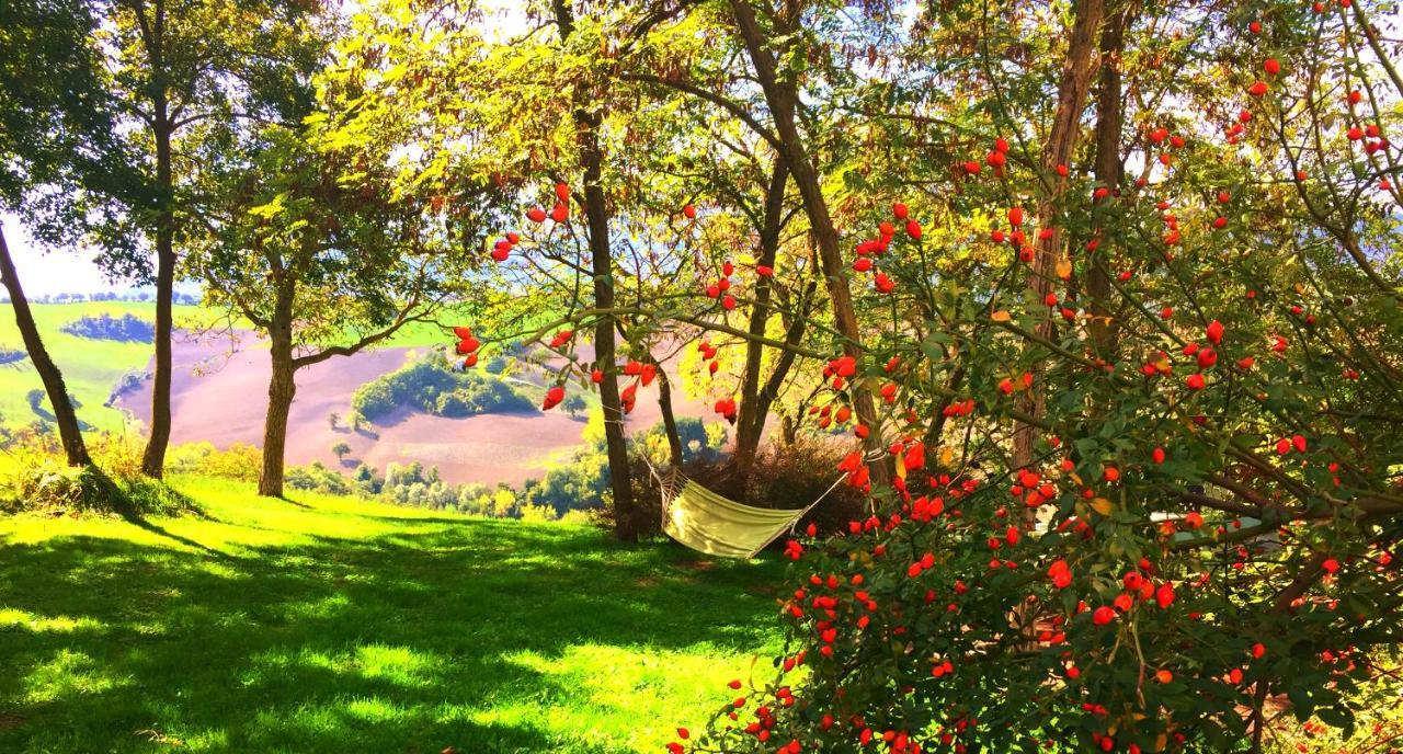 Agriturismo Il Fienile Di Ca Battista Apartment