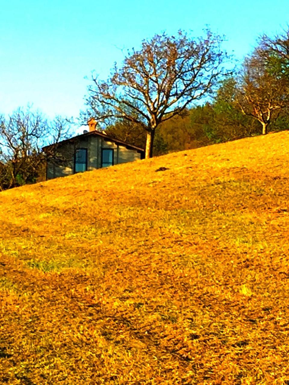 Apartment Agriturismo Il Fienile Di Ca Battista *