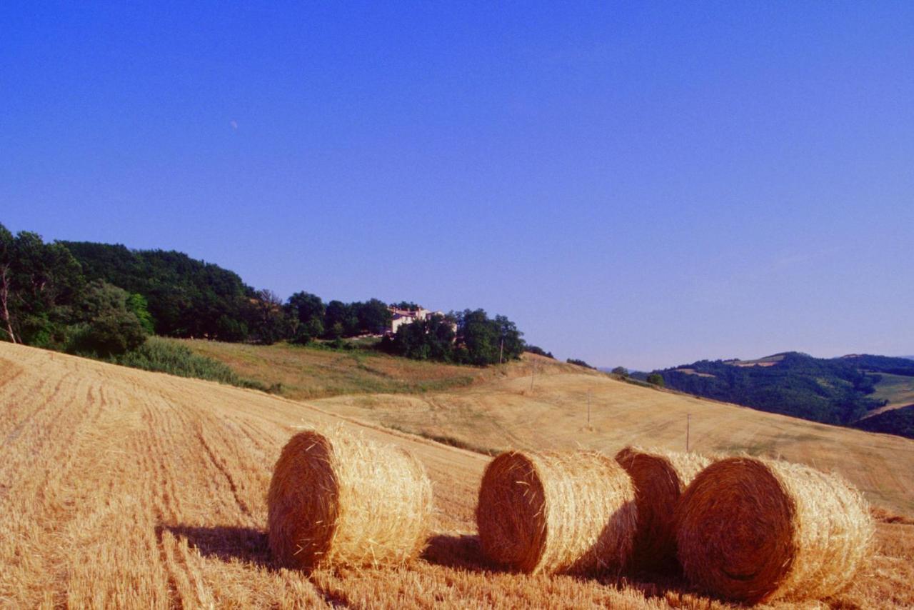 Agriturismo Il Fienile Di Ca Battista Cagli